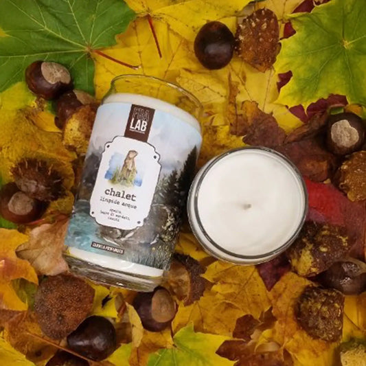 Candela profumata Magico Foliage, linea Artika, note di bergamotto, legno di sandalo e vetiver, atmosfera rilassante chalet di montagna