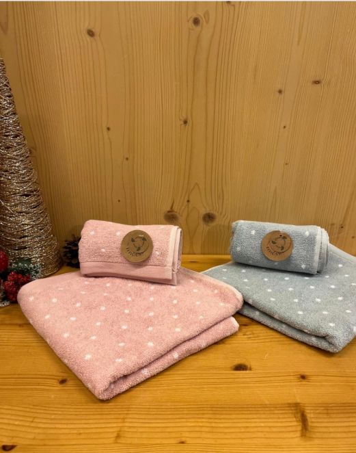 Coppia asciugamani spugna Efficience